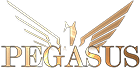페가수스 Logo